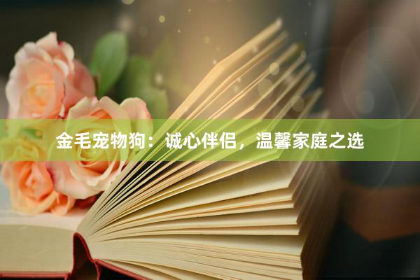 金毛宠物狗：诚心伴侣，温馨家庭之选